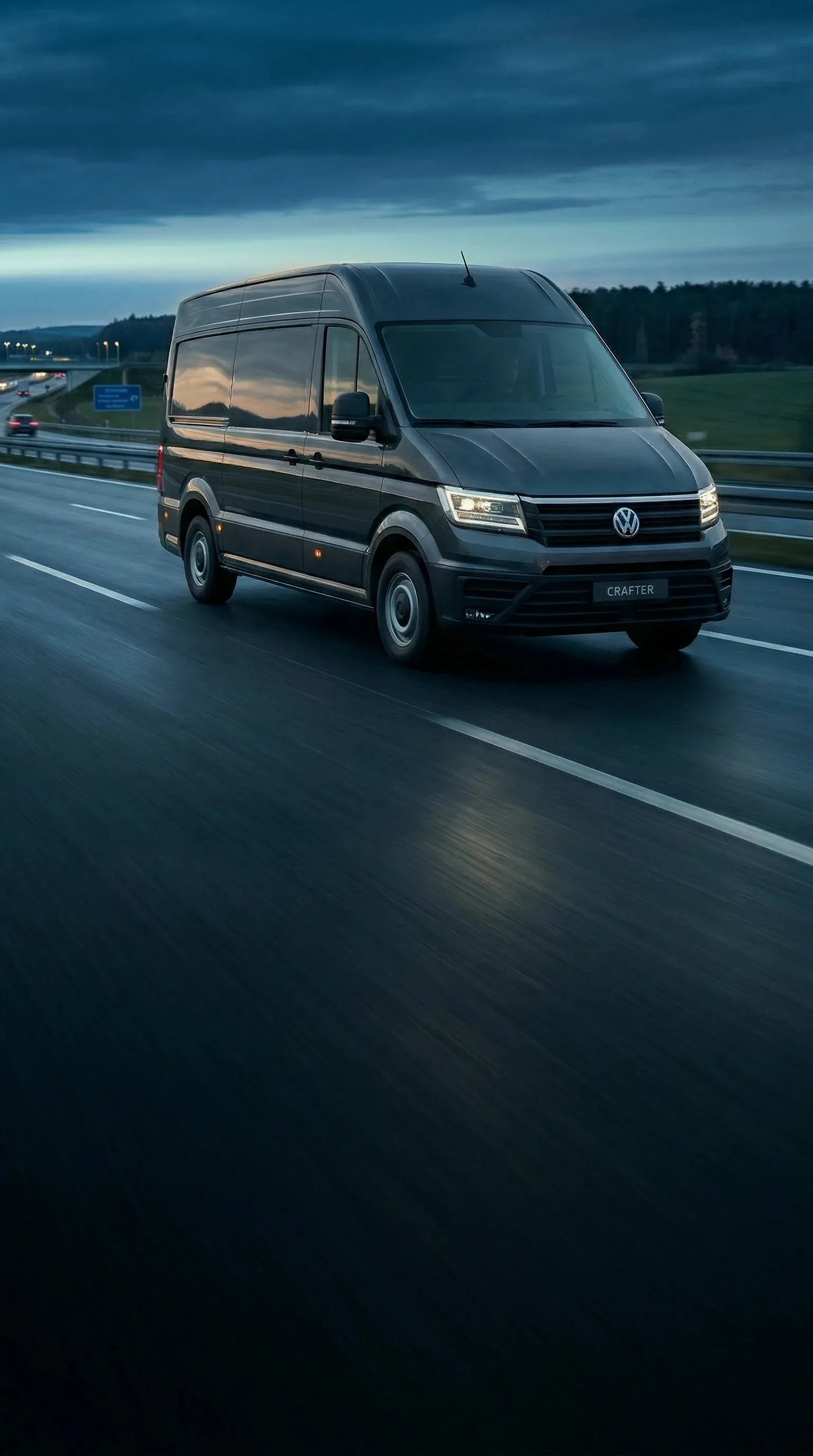 Меѓународен