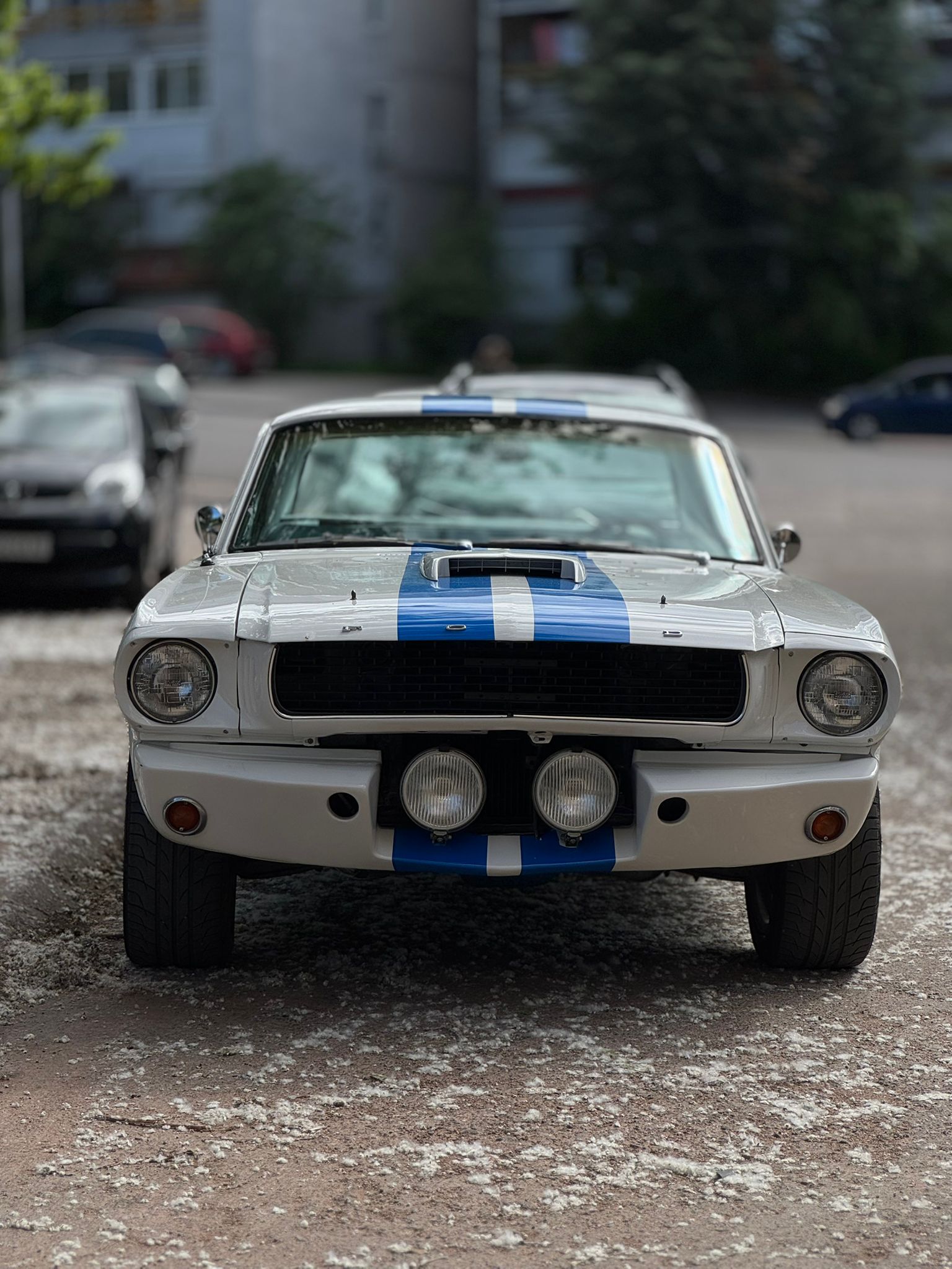 Ford Mustang