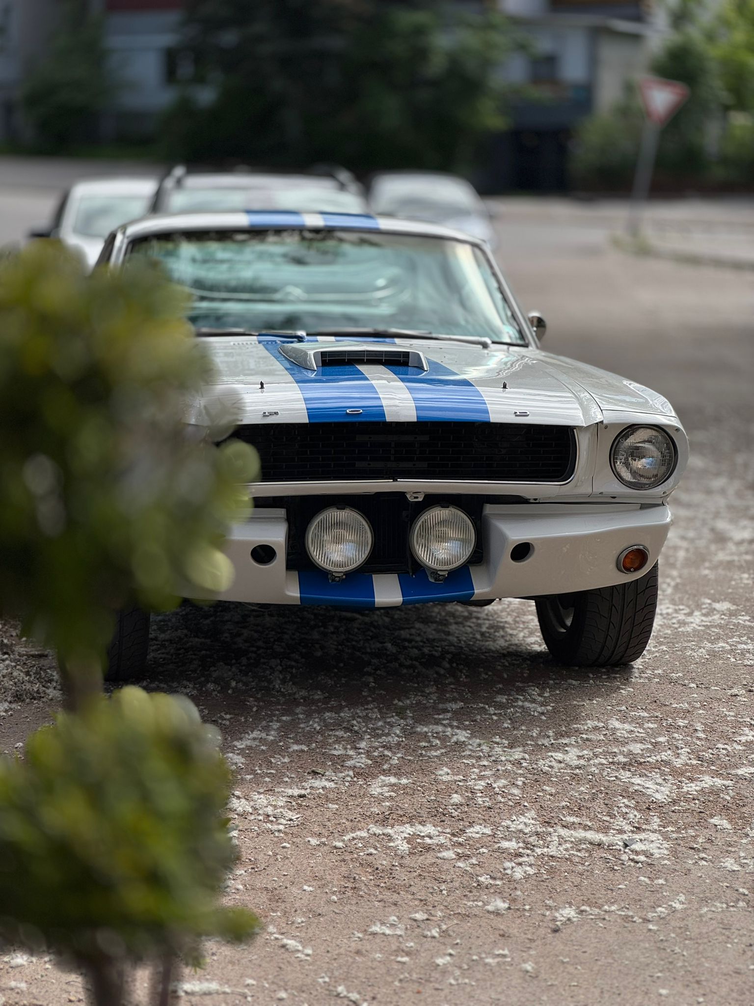 Ford Mustang